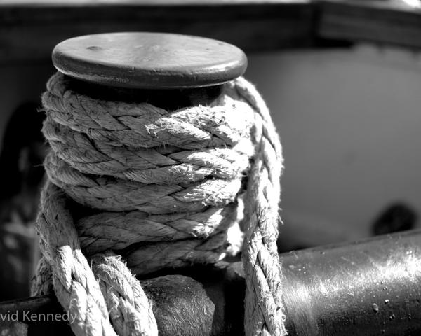 Cruise Cancellation June 23, 24, 25